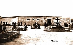 Marnia 303